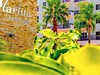 Marlita Beach Hotel & Apartments - obrázek č. 7